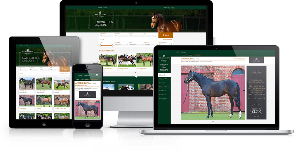 A presentation of the Weatherbys Stallion Book Application showcased on multiple devices