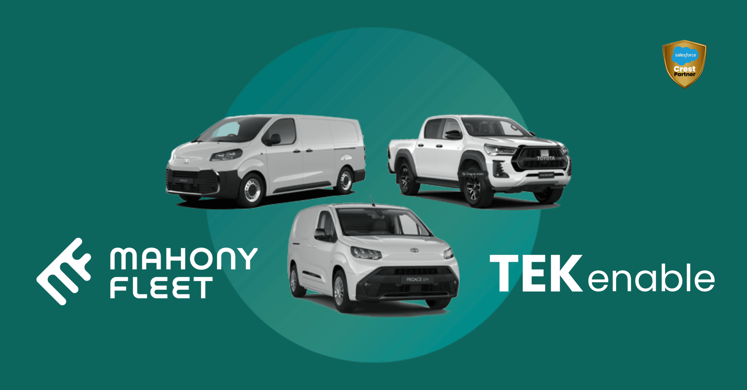 Mahony Fleet TEKenable